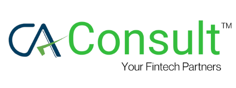 CA Consult Logo